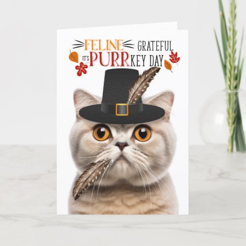 Scottish Fold Cream Cat Grateful for PURRkey Day Holiday Card