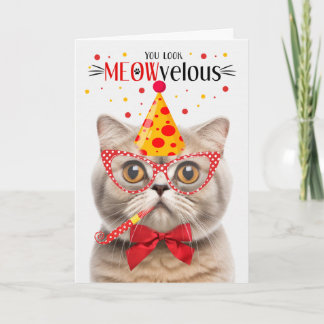 Scottish Fold Cream Cat MEOWvelous Birthday Card