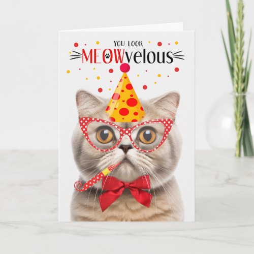 Scottish Fold Cream Cat MEOWvelous Birthday Card
