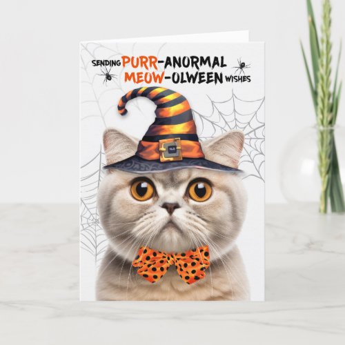 Scottish Fold Cream Cat PURRanormal MEOWolween Holiday Card