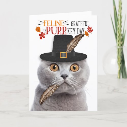 Scottish Fold Gray Cat Grateful for PURRkey Day Holiday Card