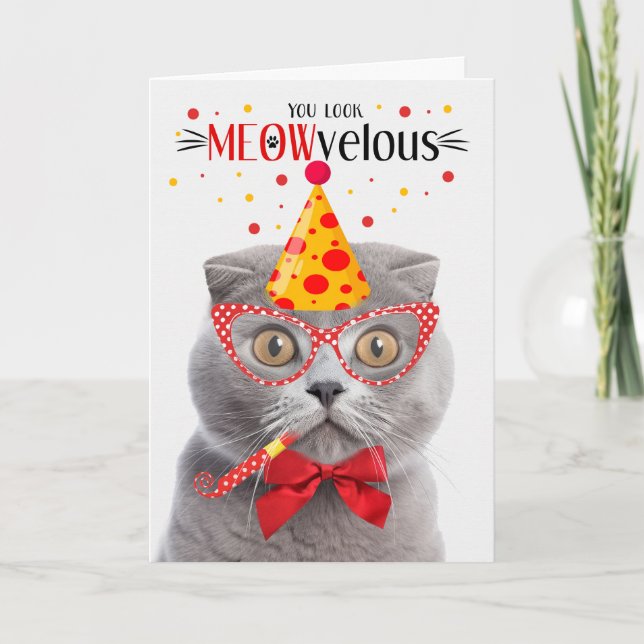 Scottish Fold Gray Cat MEOWvelous Birthday Card (Front)