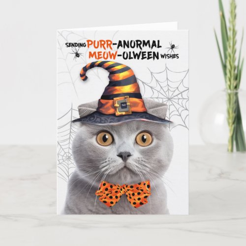 Scottish Fold Gray Cat PURRanormal MEOWolween Holiday Card