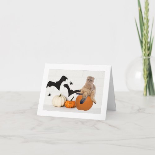 Scottish Fold Halloween Note Card