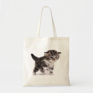 Canvas Shopping Tote Bag Scottish Fold Cat Silhouette A Scottish Fold Cat Beach Bags for Women 