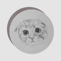 Scottish Fold Kitten Car Magnet