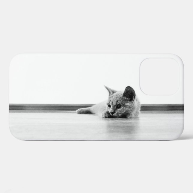 Scottish Fold Kitten Cat Super Cute Case-Mate iPhone Case (Back (Horizontal))