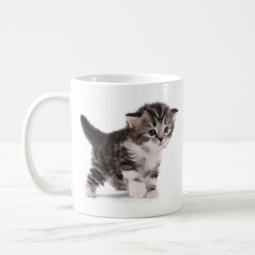 Scottish Fold Kitten Classic Mug