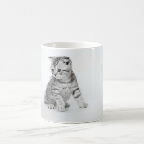 Scottish Fold Kitten Coffee Mug