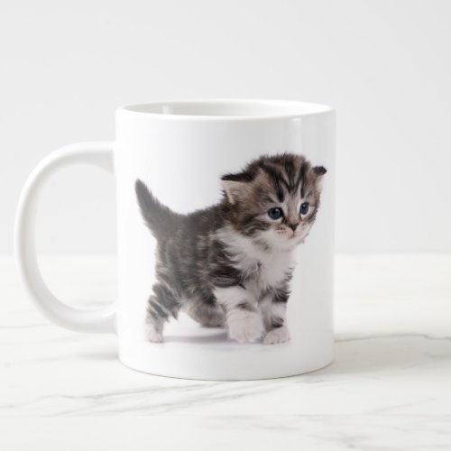 Scottish Fold Kitten Jumbo Mug