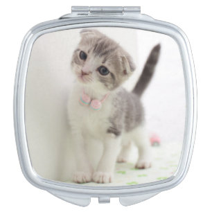 Scottish Fold Kitten Makeup Mirror