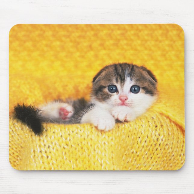 Scottish Fold Mouse Pad (Front)