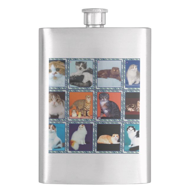 scottish fold mural flask (Front)