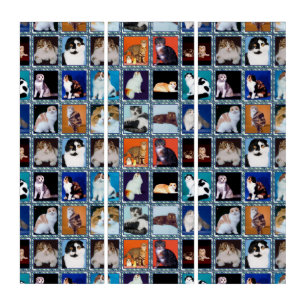 scottish fold mural triptych