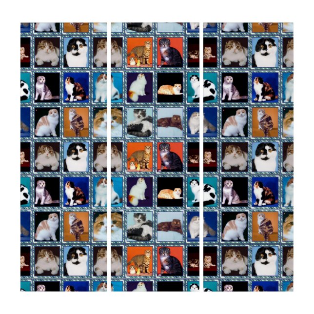 scottish fold mural triptych (Front)