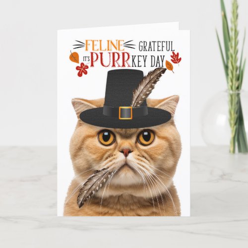 Scottish Fold Orange Cat Grateful for PURRkey Day Holiday Card