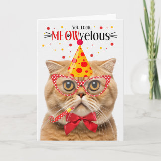 Scottish Fold Orange Cat MEOWvelous Birthday Card