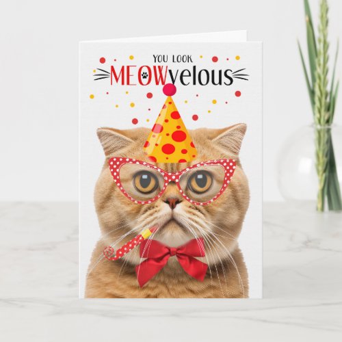 Scottish Fold Orange Cat MEOWvelous Birthday Card