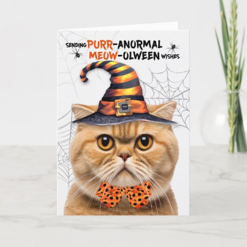 Scottish Fold Orange Cat PURRanormal MEOWolween Holiday Card