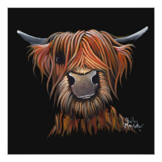 Scottish Hairy Highland Cow 'BRUCE' Print