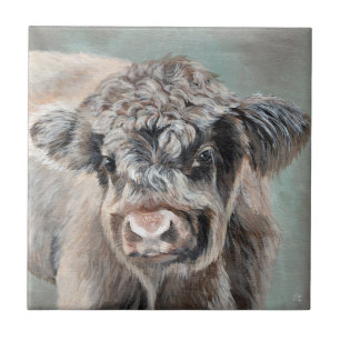 Scottish Highland Calf on Green Ceramic Tile