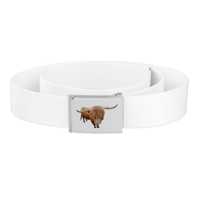 Scottish highland cattle belt (Coil)