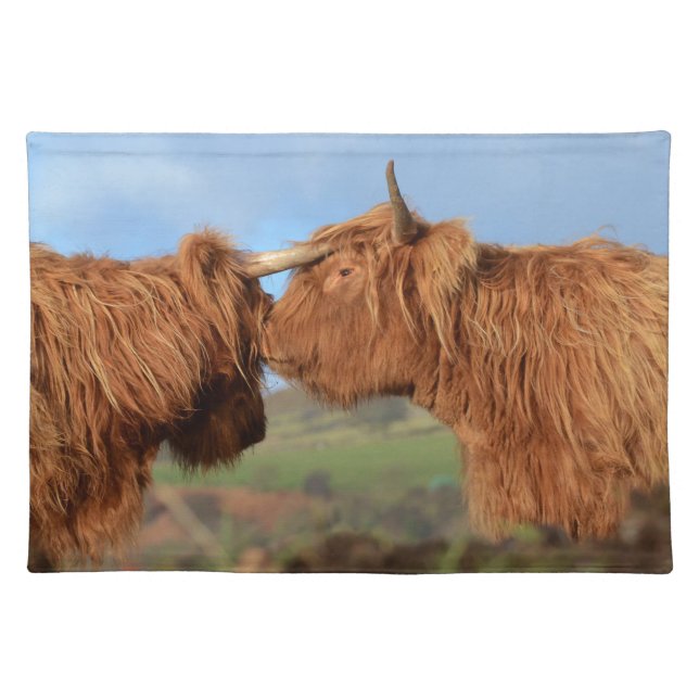 Scottish Highland Cattle Cloth Placemat (Front)