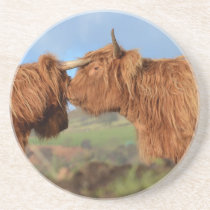 Scottish Highland Cattle Coaster
