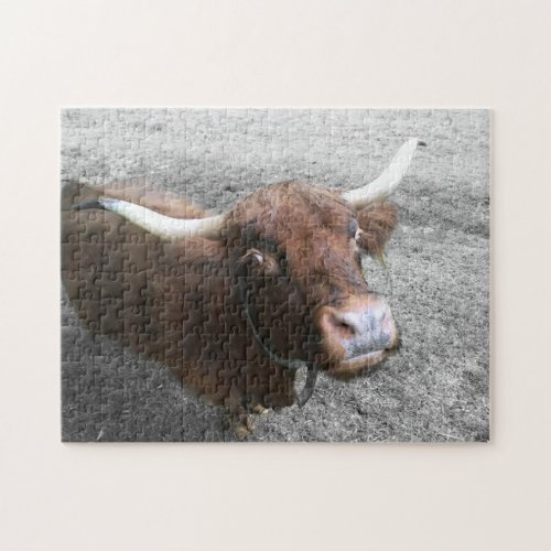Scottish Highland Cattle Cow Farmer Cute Animals Jigsaw Puzzle