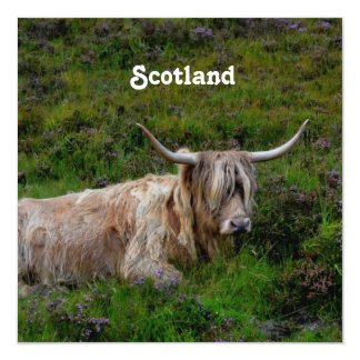 Highland Scotland Invitations & Announcements | Zazzle