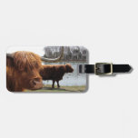 Scottish Highland Cattle ~ Luggage Tag at Zazzle