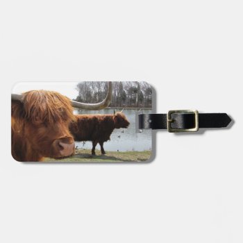 Scottish Highland Cattle ~ Luggage Tag by Andy2302 at Zazzle