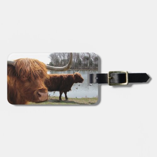 Scottish Highland Cattle  Luggage Tag