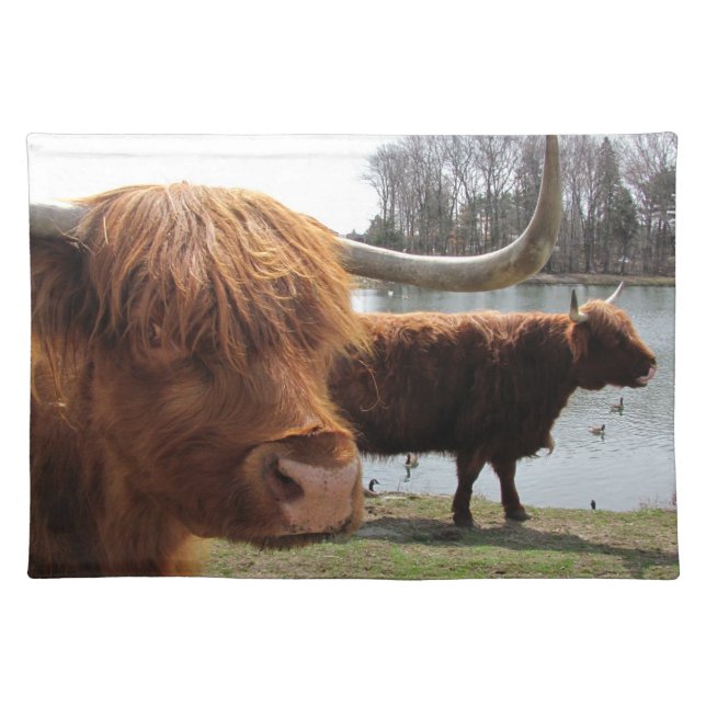 Scottish Highland Cattle ~ Placemat (Front)