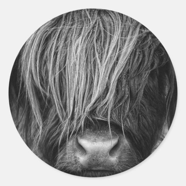 Scottish Highland Cattle - Scotland Classic Round Sticker (Front)