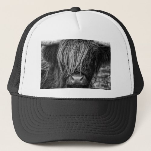 Scottish Highland Cattle _ Scotland Trucker Hat