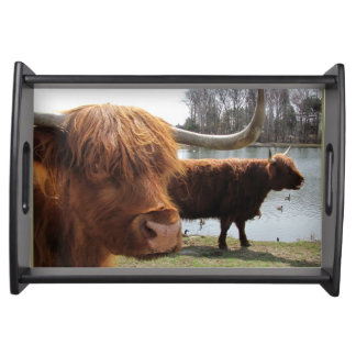 Scottish Highland Cattle ~ Serving Tray