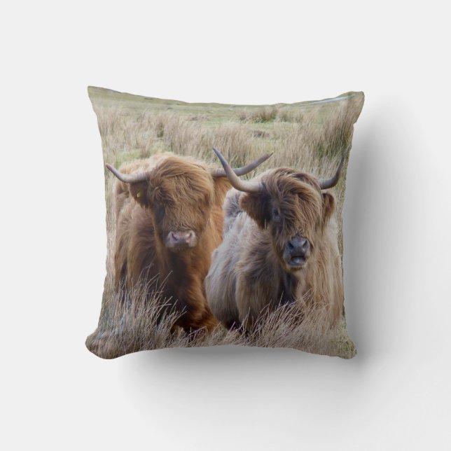 Scottish Highland Cattle Throw Pillow (Front)