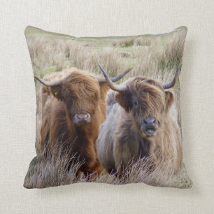 Scottish Highland Cattle Throw Pillow