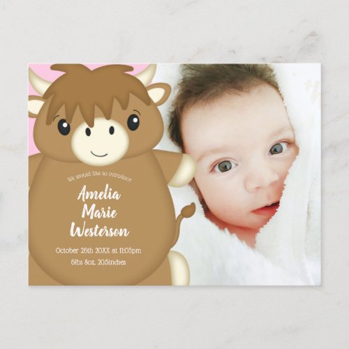 Scottish Highland Cow Baby Shower Pink Postcard