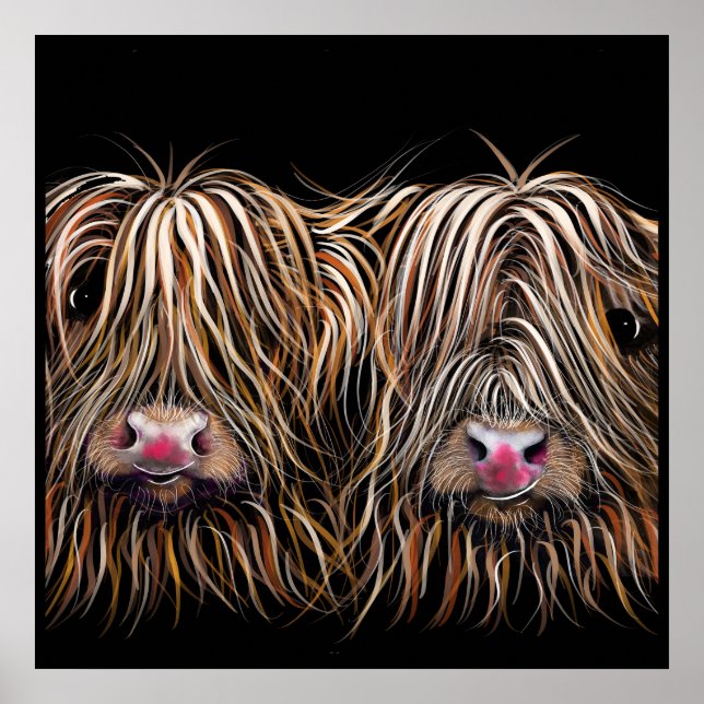 SCoTTiSH HigHLaND CoW ' BiLL & TeD ' by SHiRLeY Poster (Front)