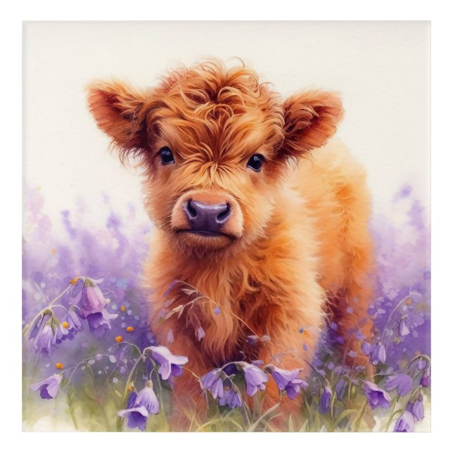 Scottish Highland Cow Calf Purple Wildflowers Acrylic Print (Front)