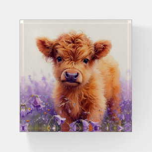 Scottish Highland Cow Calf Purple Wildflowers Paperweight