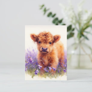Scottish Highland Cow Calf Purple Wildflowers Postcard