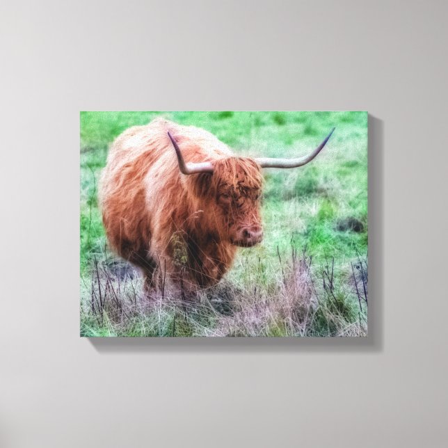 Scottish Highland cow canvas Print (Front)