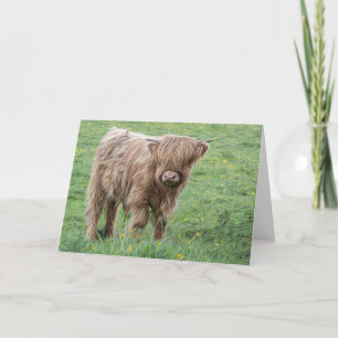 Scottish Highland cow Card