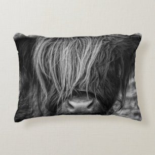 Scottish Highland Cow, Cattle, Bull Accent Pillow