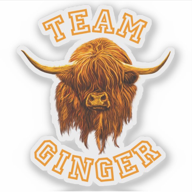 Scottish Highland Cow Celebrates Team Ginger Sticker (Front)