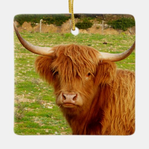 Scottish Highland Cow Ceramic Ornament