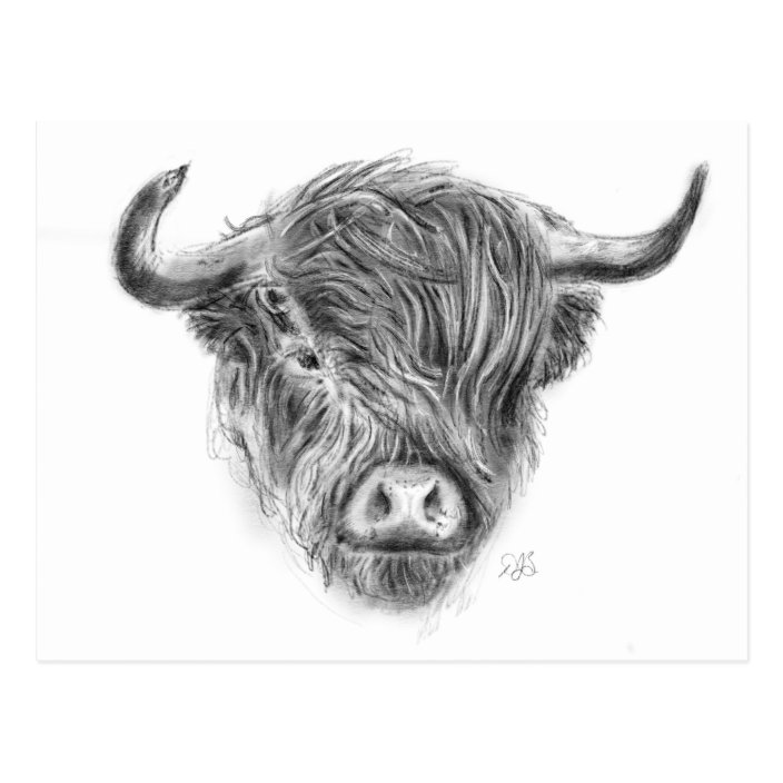 Free Free 255 Simple Highland Cow Svg SVG PNG EPS DXF File